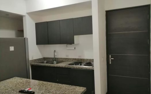 Modern Apartment with Excellent Location in San Pablo de Heredia