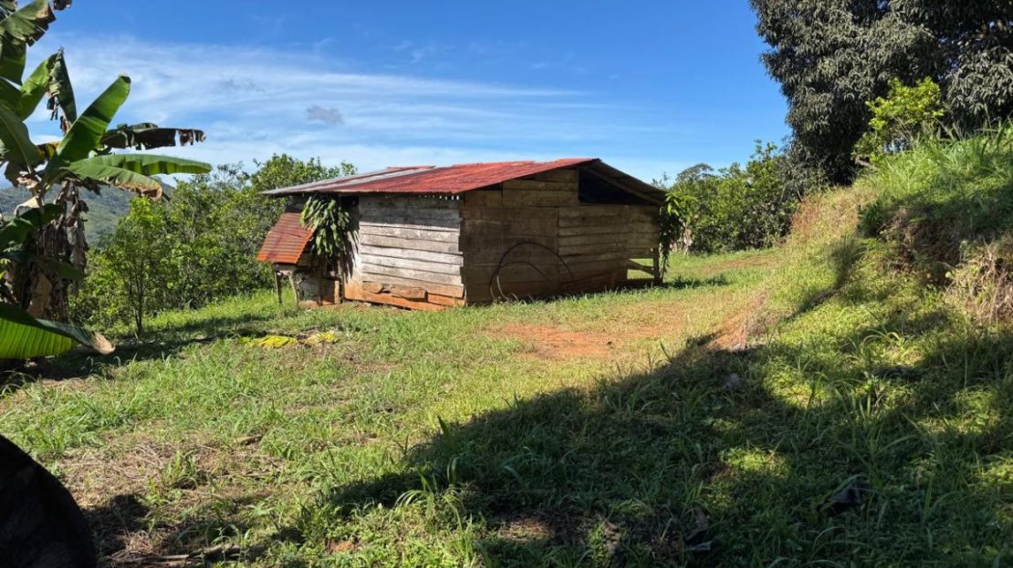 Coffee & Partial Ocean Views – Nicoya Peninsula