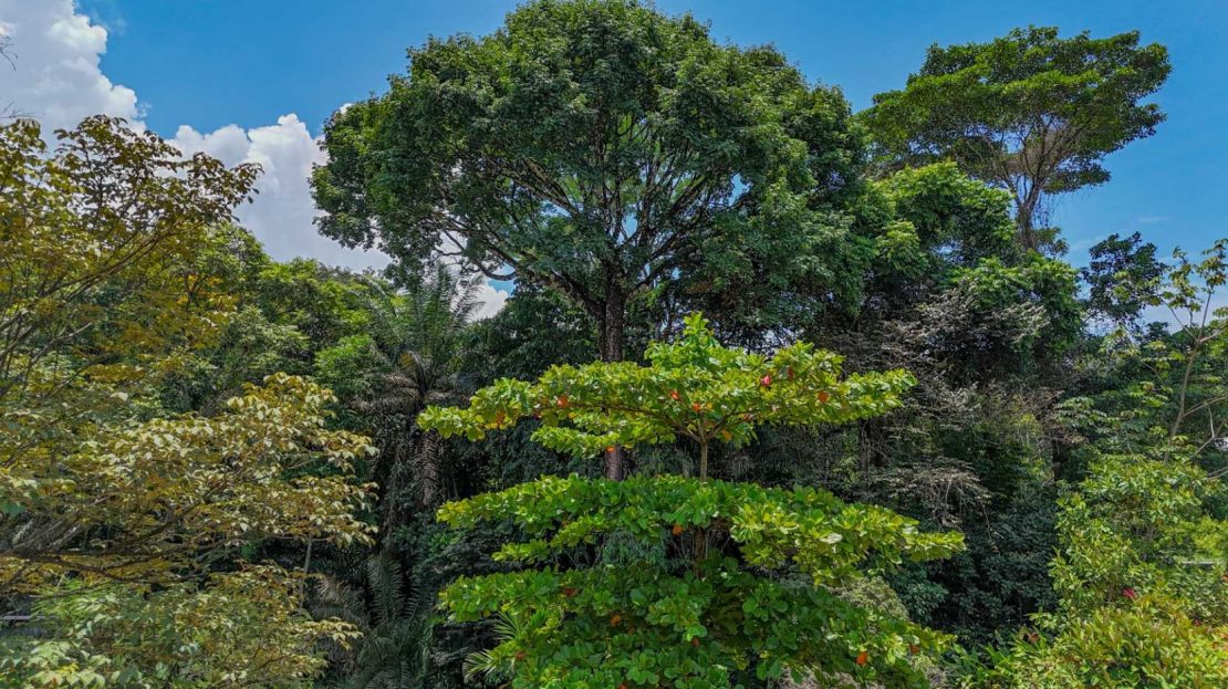 Costa Rica Real Estate