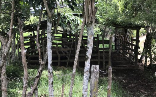 Waterfall Finca with 28 Acres of Land in Las Esperanzas between Dominical & San Isidro Costa Rica