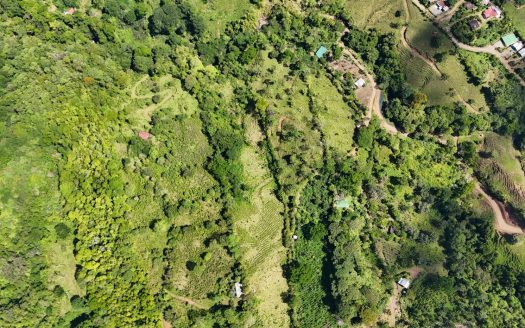 For Sale – 3.8 Ha Near Chirripó With Stream & Springs