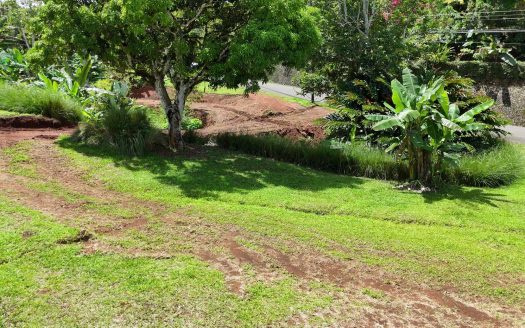 Exclusive & Rare Opportunity: Build Your Dream Home on This Stunning 885 m² Lot Near Downtown!