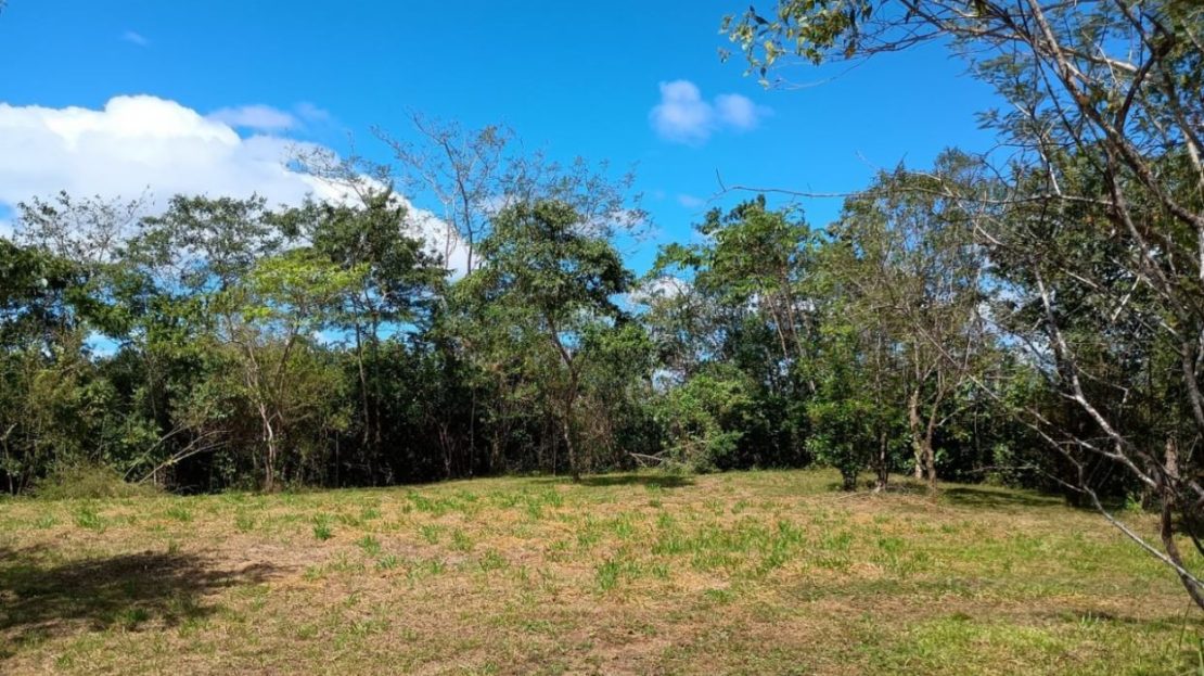 Ocean-View Mountain Lots in Hojancha – 5