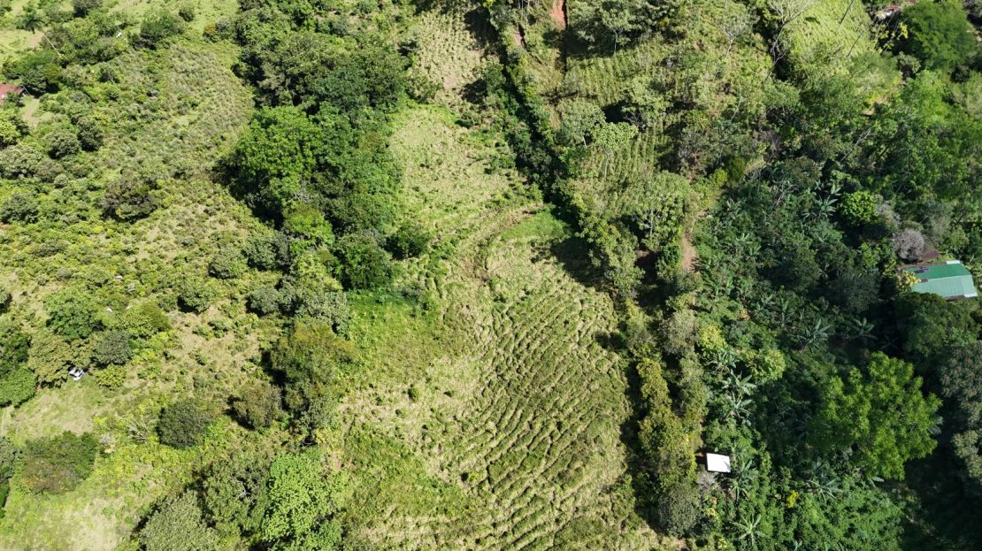 For Sale – 3.8 Ha Near Chirripó With Stream & Springs