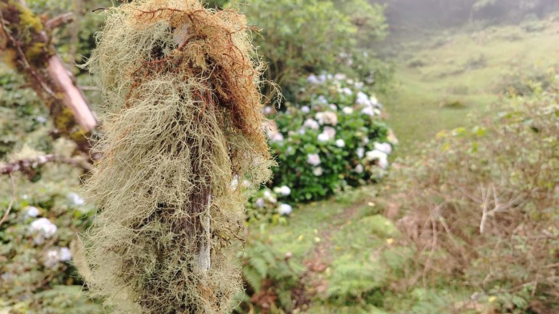 Costa Rica Real Estate