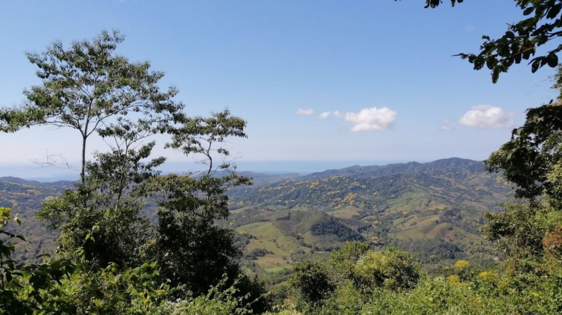 000 m²+ Parcels with Stunning Vistas