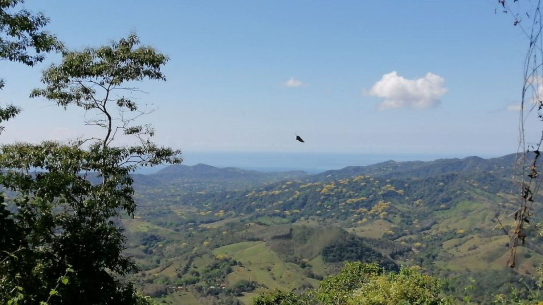 Costa Rica Real Estate