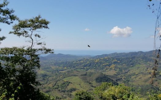 Ocean-View Mountain Lots in Hojancha – 5,000 m²+ Parcels with Stunning Vistas