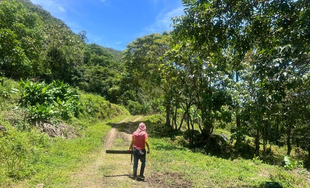 Costa Rica Real Estate