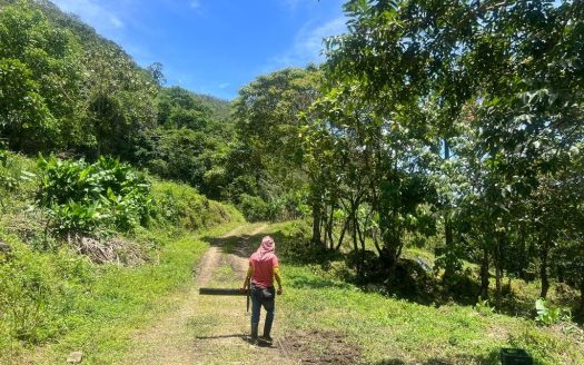 Land for Sale in Costa Rica – 814 Sustainable Acres in Costa Rica