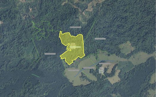 66.5 Acres of Pristine Jungle Paradise – Completely Off the Grid