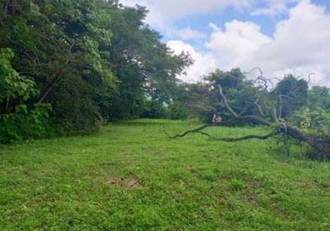 19 ha (46 acres) Gulf-View Property with Tropical Forest & Large Building Plateau