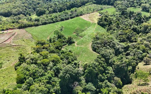 For Sale – Mountainview 2.5 Ha In General Viejo