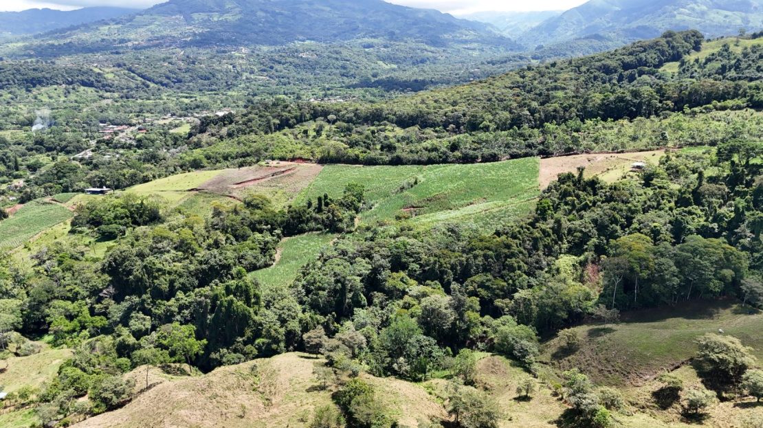 Costa Rica Real Estate