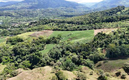 For Sale-Enchanting Cane Farm in General Viejo – Panoramic Views, Abundant Stream & Fertile Land for Visionary Living or amazing Development