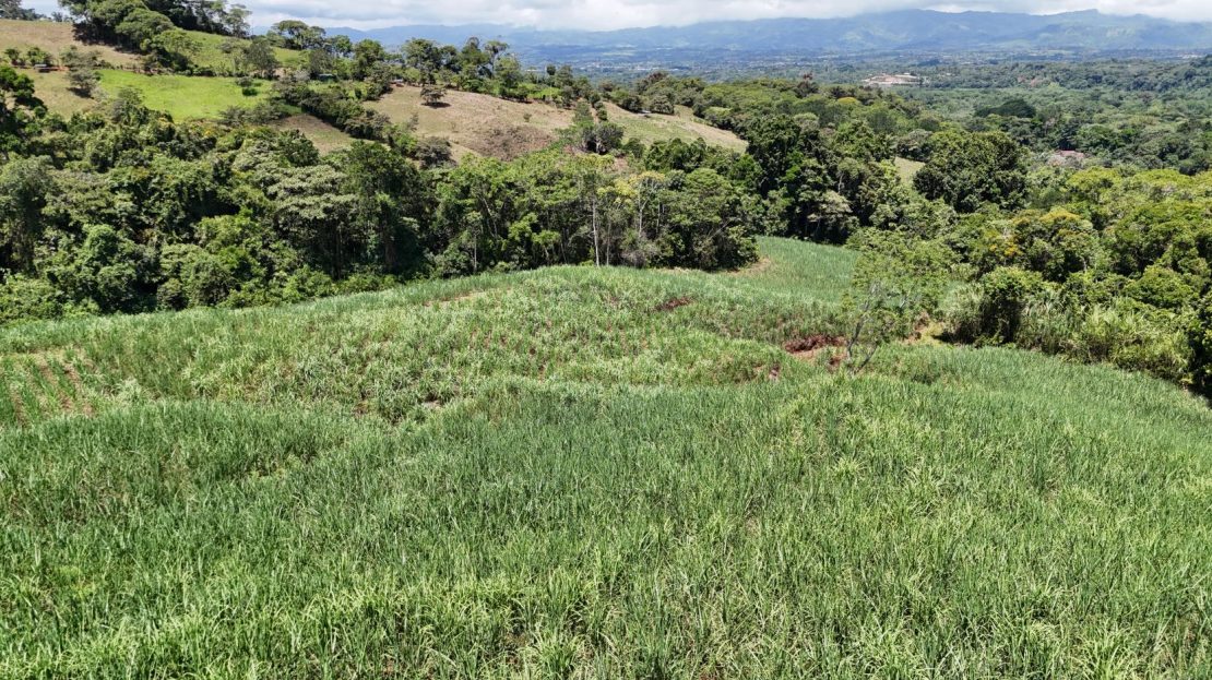 For Sale - Mountainview 2.5 Ha In General Viejo