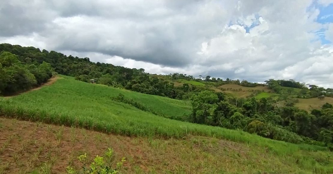 Abundant Stream & Fertile Land for Visionary Living or amazing Development