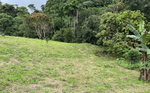 Farm Land for Sale in San Vito Costa Rica – 6,111 m² Near La Amistad Park – Stream, Buildable, Fertile Soil
