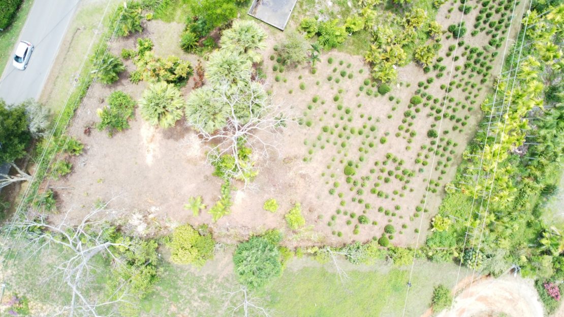 Costa Rica Real Estate