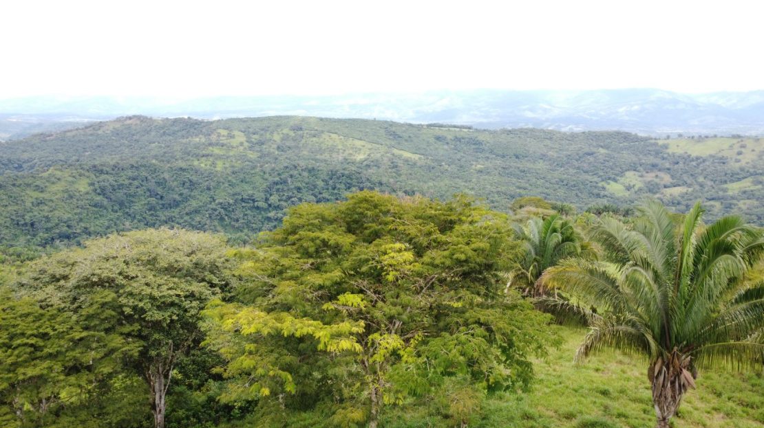 and off-grid potential.