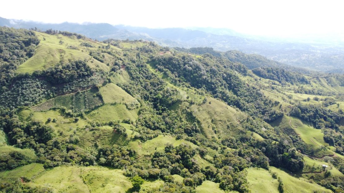 Expat Oasis in Costa Rica's Hidden Gem - San Antonio