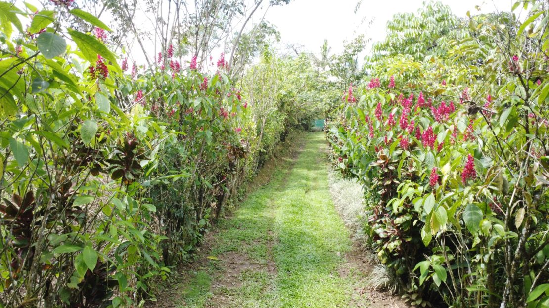 Discover Your Private Oasis: 10