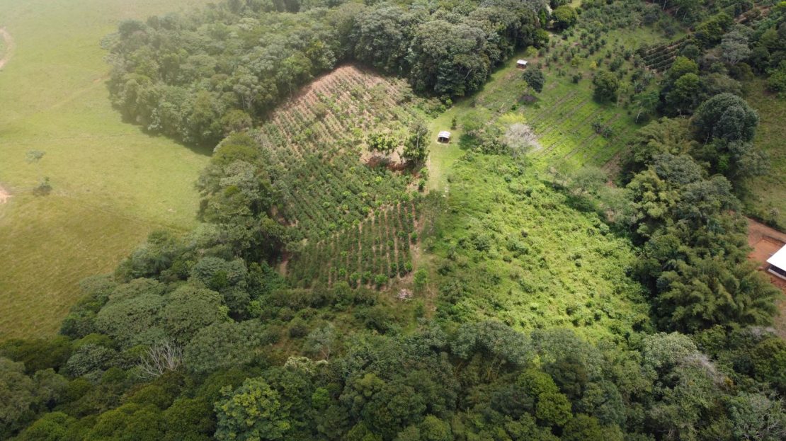 Exclusive Farm for sale with two beautiful Homes For Sale In The Heart Of Cajon