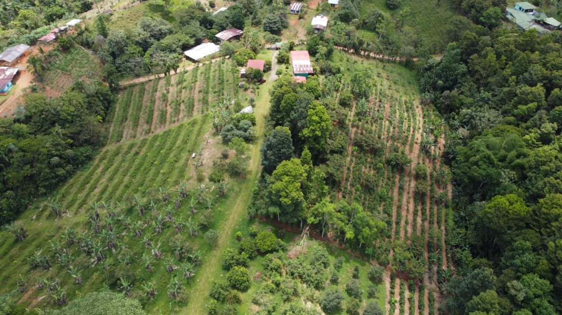 Costa Rica Real Estate