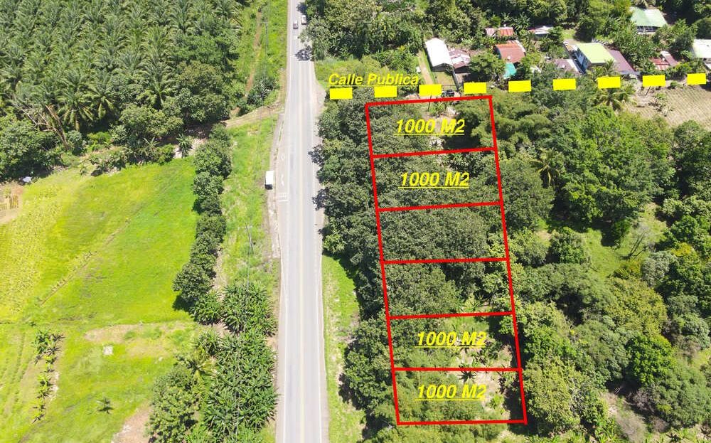 Costa Rica Real Estate