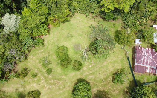 Discover Your Private Oasis: 10,000m2 Gem with Dual Homes in Tinamaste!