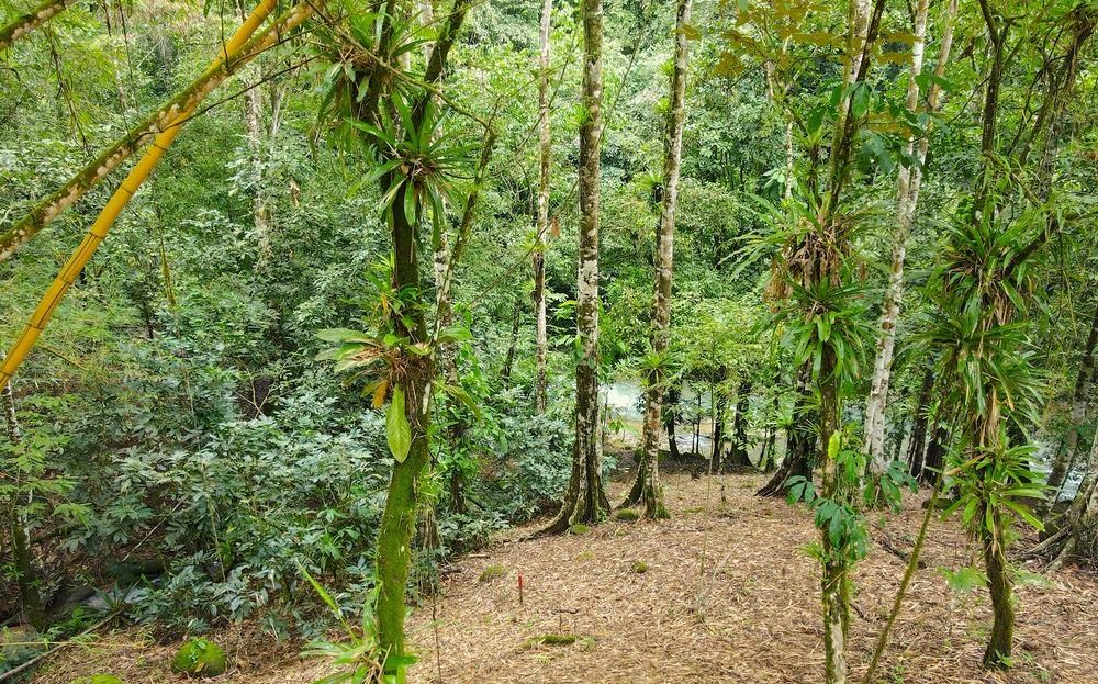 Costa Rica Real Estate