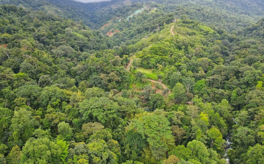 stunning riverfront property steps from La Palapa waterfall