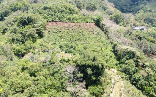 A Serene 4.7+ Hectare Farm in Pueblo Nuevo, Rivas, Costa Rica