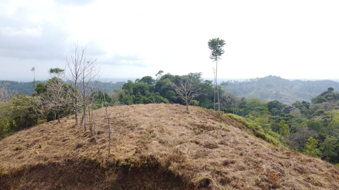 Costa Rica Real Estate