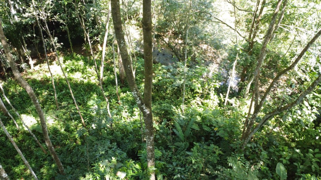 Costa Rica Real Estate