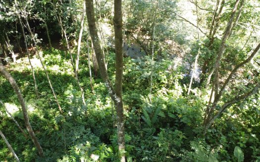 Retreat to your own private forest and stream: perfect for a cabin!