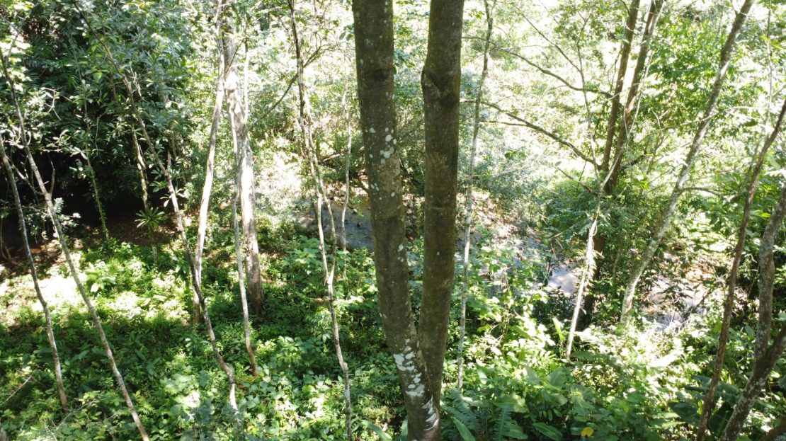 Retreat to your own private forest and stream: perfect for a cabin!