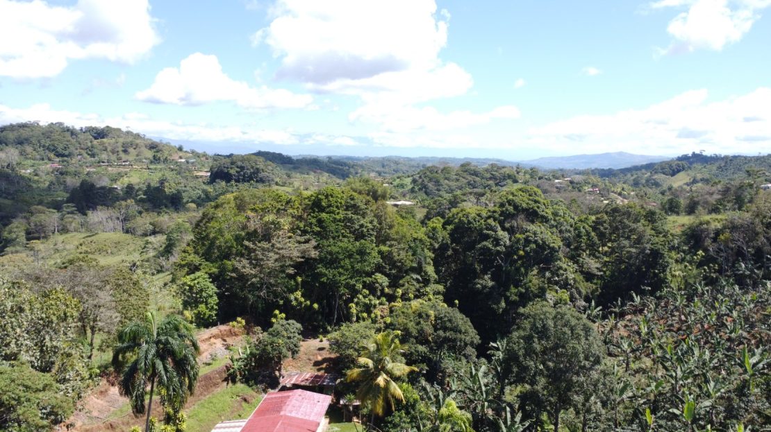 Over 2.7 Hectares in Pérez Zeledón with Spring