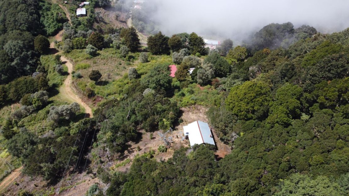 Beautiful Cabin For Sale In The Heart Of Primary Forest With Stunning Ocean Views In Perez Zeledon