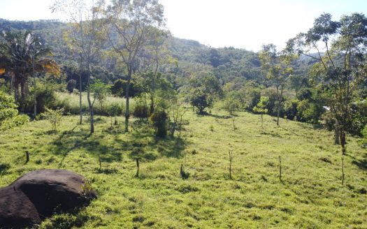 Expansive Flat Riverside Property in Guadalupe, Rivas, Pérez Zeledón – 8,000+ m² with Chirripó River Frontage for $230,000
