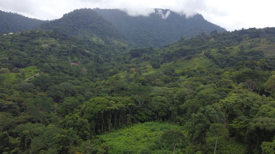 Private ocean-view lot in Fase 8