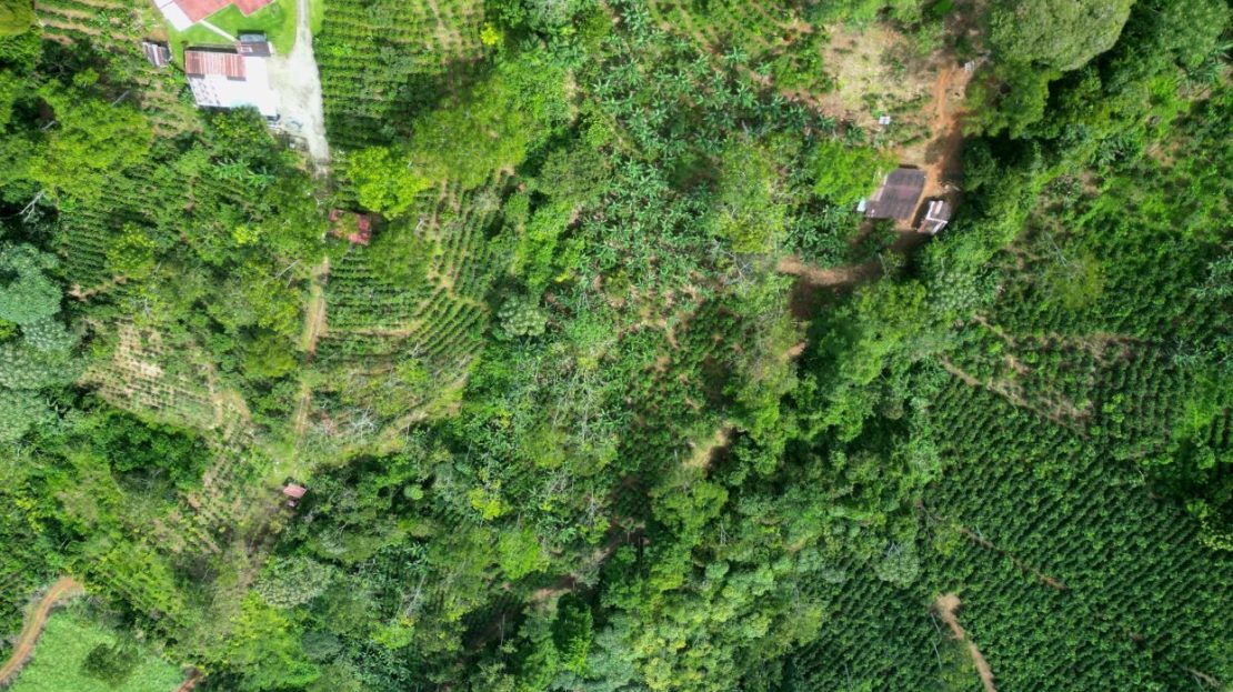 Costa Rica Real Estate