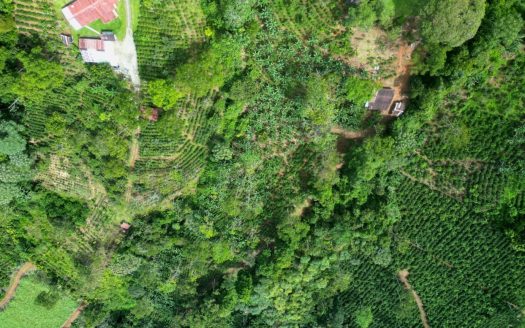 Beautiful land ( 2 hectares / 5 acres) with the best Location in Santa Elena, Perez Zeledon