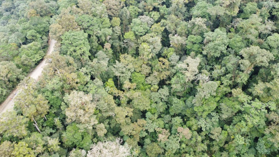 Costa Rica Real Estate