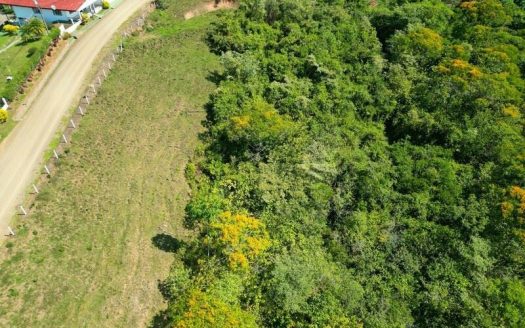 Stunning Land for Sale in La Linda Arriba, General Viejo, Costa Rica – Nature, Privacy, and Potential