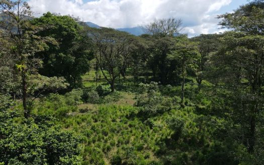Prime Land Opportunity – Peaceful Jungle Sanctuary Surrounded by Wildlife