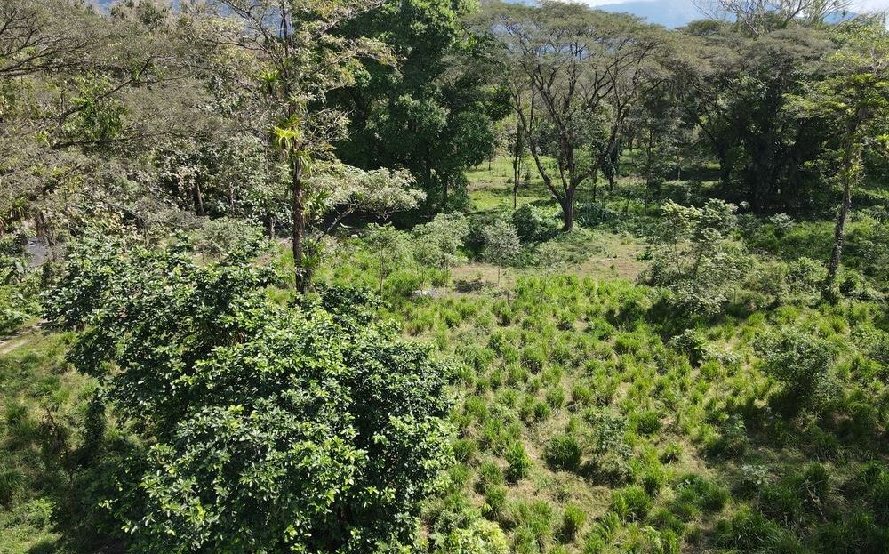 Prime Land Opportunity – Peaceful Jungle Sanctuary Surrounded by Wildlife
