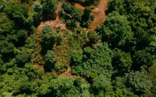 Costa Rica Farmland with Ocean Views – Perfect for Off-Grid Living & Eco Retreat