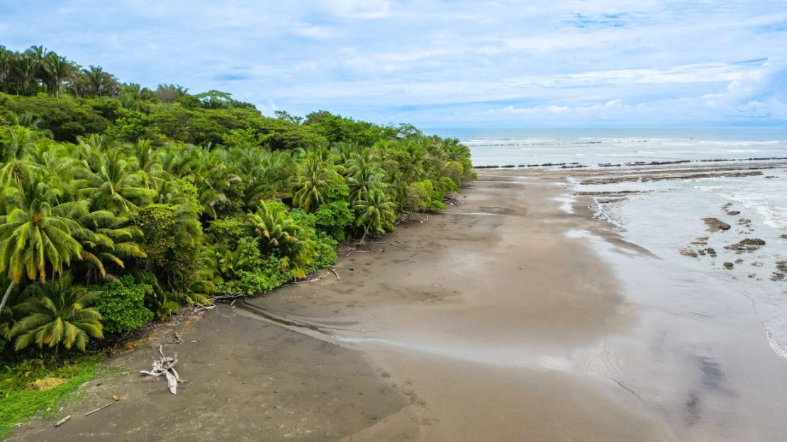 65 Hectares of Land near the Beach of Esterillos - Only 20 minutes from Jaco (Seller Financing)