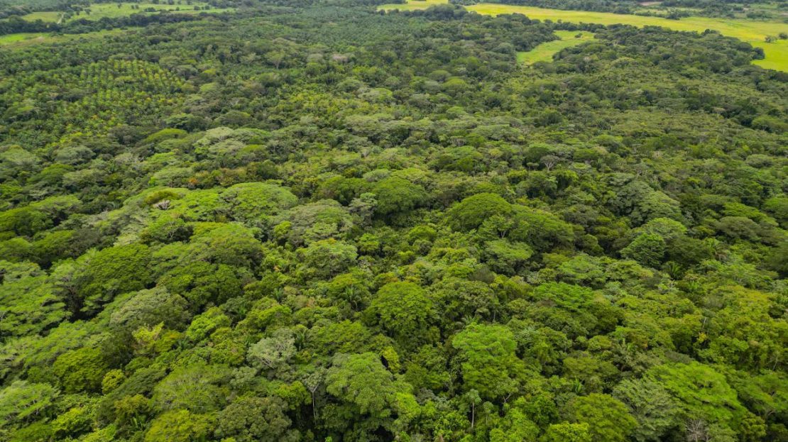 Costa Rica Real Estate